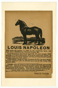 Broadside Advertising Draft Horse Louis Napoleon for Service, 1894 by Unknown